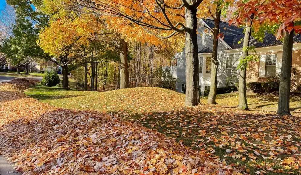 Fall Clean Up Tennessee